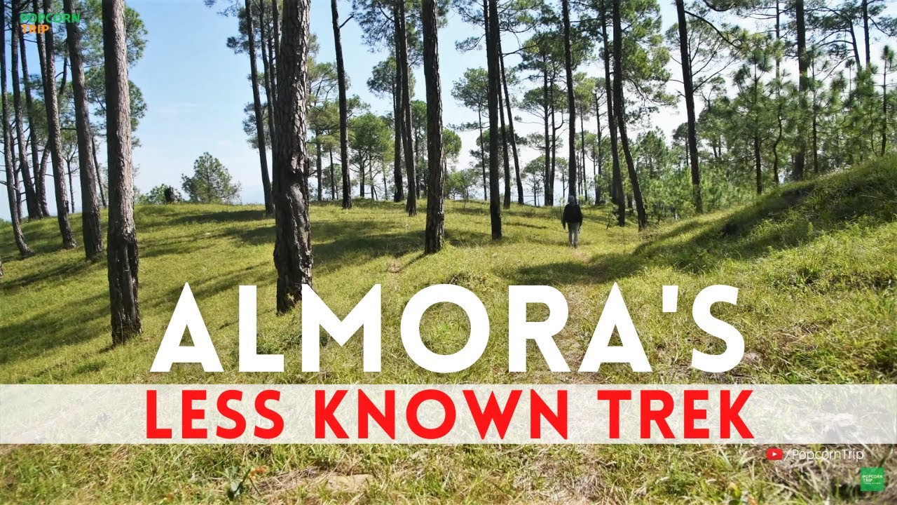 A better forest walk in Kumaon: notice first, name later
