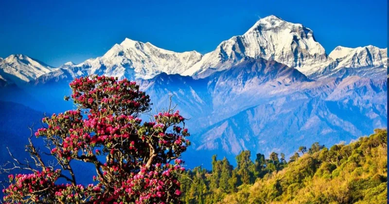 'देवों की भूमि - उत्तराखंड'