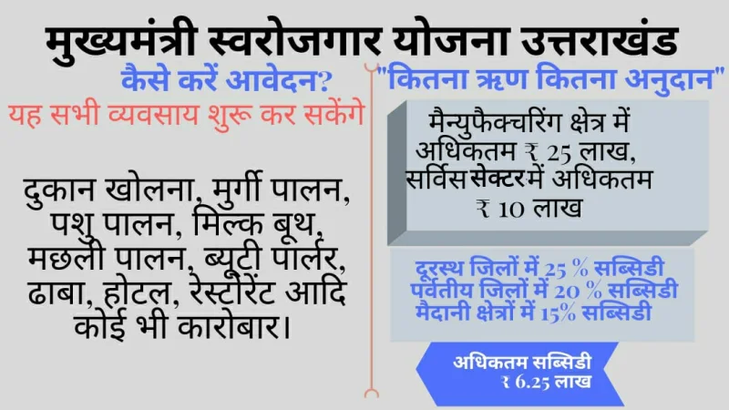 मुख्यमंत्री स्वरोजगार योजना (MSY)