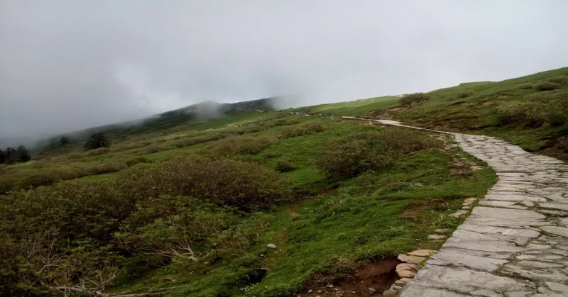 पहाड़ों में बसा खूबसूरत शहर है चमोली, पढ़िये क्यों इस शहर को धरती का स्वर्ग कहते हैं?