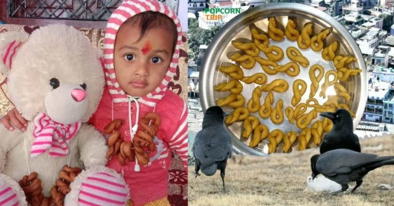 कुमाऊँ का घुघुतीये का त्यौहार