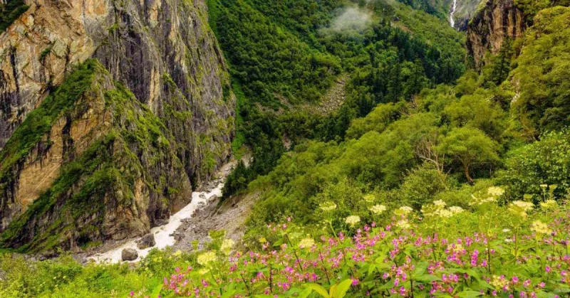 Valley of Flowers, Uttarakhand