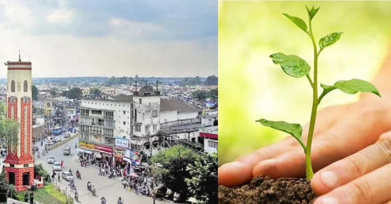 एक वृक्ष काटने पर लगाने होंगे दस पौधे, देहरादून नगर निगम का फैसला