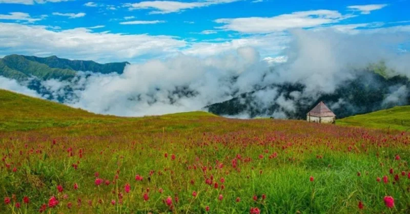 डाली डाली फूलों की, तुझको बुलाये रे मुसाफिर मेरे उत्तराखंड में...- 'बेदिनी बुग्याल'