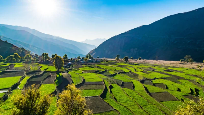Uttarakhand : कुमाऊं की 7 सबसे खूबसूरत जगह, क्या पता इनमे से एक आपका भी शहर हो!