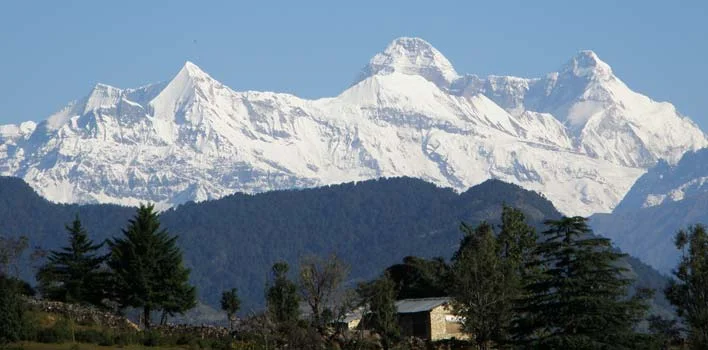 Chaukori