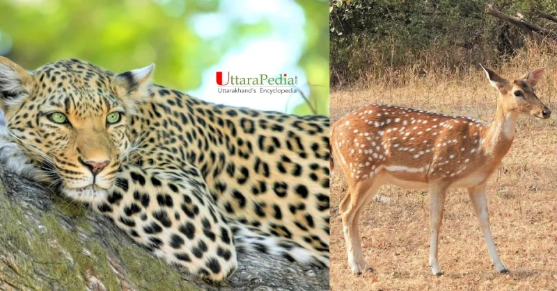 वन्यजीव सप्ताह (Wildlife week) विशेष : उत्तराखंड के आरक्षित क्षेत्रों को जानिए