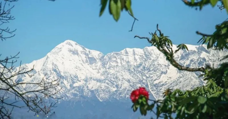 Binsar Wildlife बिनसर