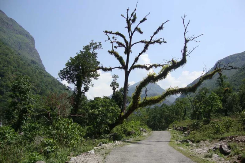 Kumaon