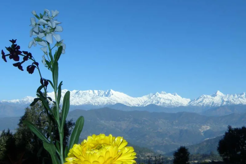 Himalayas