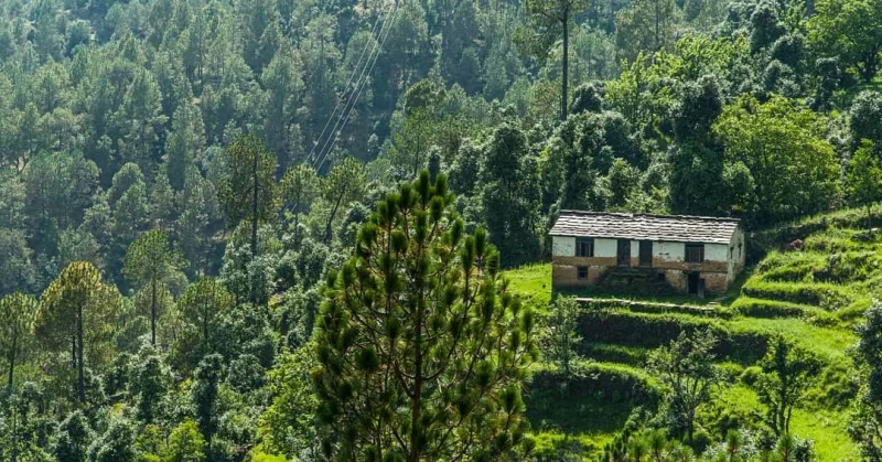 पलायन रूपी पहिया ऊंचाई से ढलान को घूमता