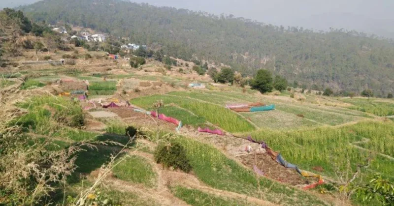 बहुत याद आता है पहाड़।